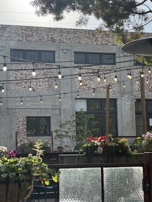 Santa Barbara Wine Collective by null