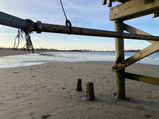Wollaston Beach by null