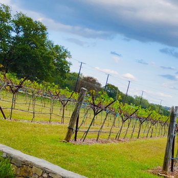Dry Comal Creek Vineyards - Vineyard - Venues & Event Spaces Near Me - New Braunfels, Texas Dry Comal Creek Vineyards - Vineyard - Venues & Event Spaces Near Me - New Braunfels, Texas