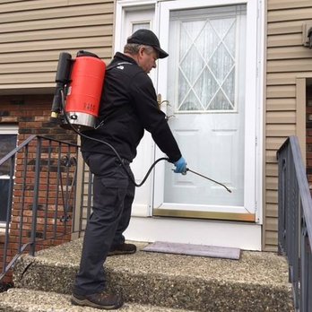 Family Pest Solutions - Pest Control Near Me - Guilderland, New York Family Pest Solutions - Pest Control Near Me - Guilderland, New York