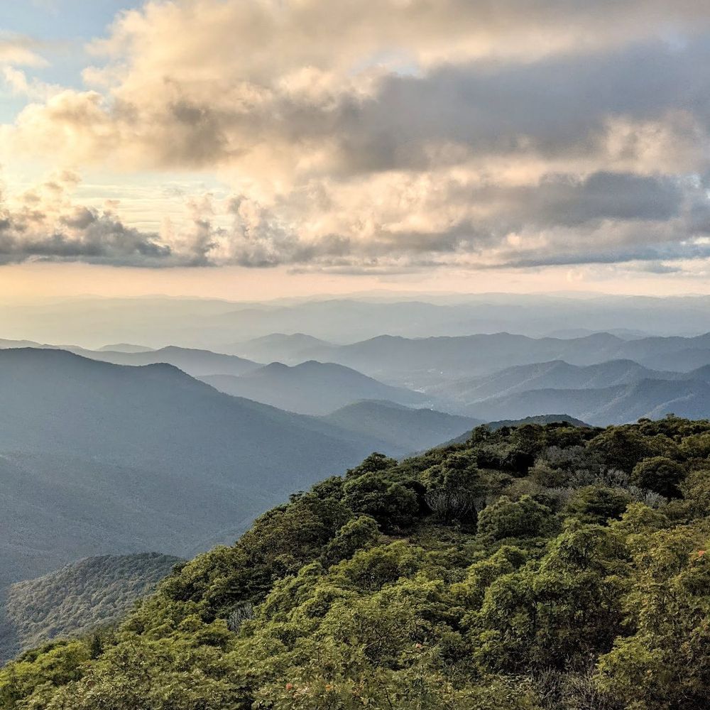 Craggy Gardens - Craggy Pinnacle | Instagram: @telephonesmoothie - Hiking Near Me - Black Mountain, North Carolina Craggy Gardens - Craggy Pinnacle | Instagram: @telephonesmoothie - Hiking Near Me - Black Mountain, North Carolina