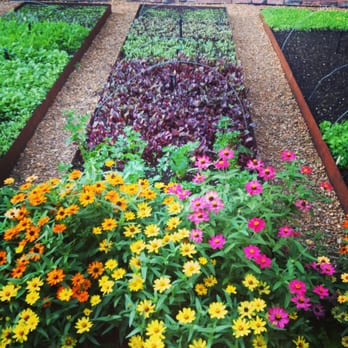 Rick Bayless' Garden Tour - Local Flavor Near Me - Chicago, Illinois