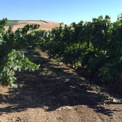 Tero Estates Winery