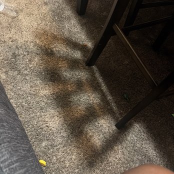 Clean It Max - Dirty carpet - Carpet Cleaning Near Me - Roseville, California