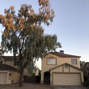 Happy Tree Landscaping - Before - Landscaping Near Me - Mesa, Arizona