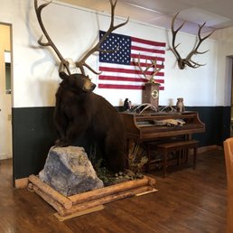 antlers and a piano in the background