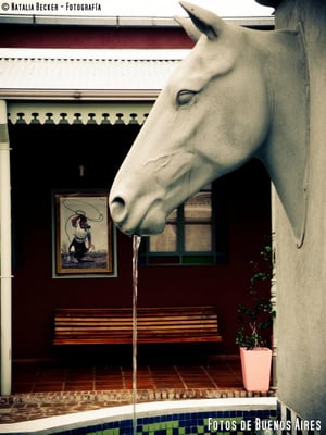 Museo Las Lilas de Areco by null