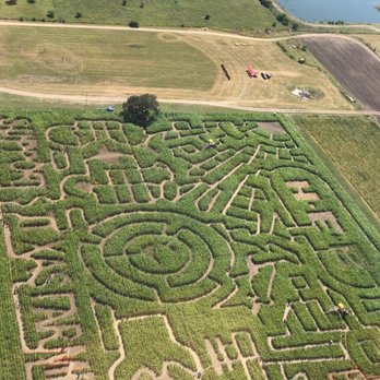 South Texas Maize - Attraction Farms Near Me - Hondo, Texas South Texas Maize - Attraction Farms Near Me - Hondo, Texas