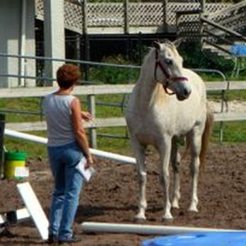 Everglades Ranch - Horse Boarding Near Me - Fort Pierce, Florida