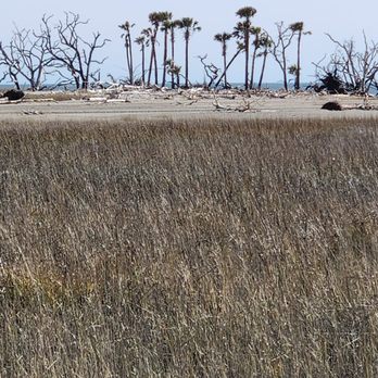 Botany Bay Plantation - Parks Near Me - Edisto Island, South Carolina