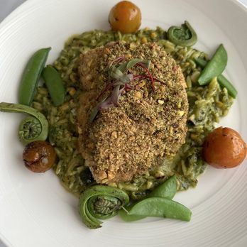 20|Twenty - Pistachio, crusted halibut with a pesto risotto - New American Near Me - Carlsbad, California 20|Twenty - Pistachio, crusted halibut with a pesto risotto - New American Near Me - Carlsbad, California