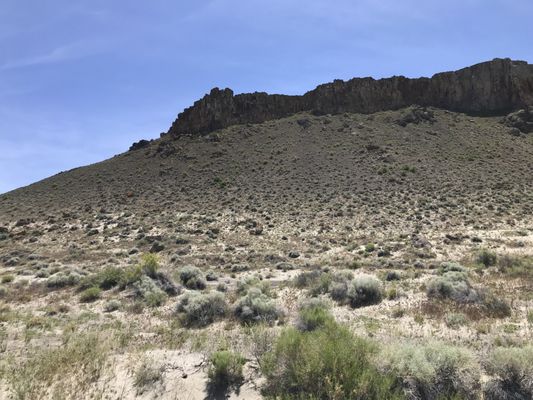 Alvord Desert by null