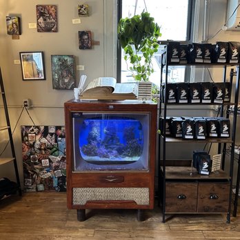 Soma Coffee House - a fish tank in the middle of the room - Coffee & Tea Near Me - Bloomington, Indiana Soma Coffee House - a fish tank in the middle of the room - Coffee & Tea Near Me - Bloomington, Indiana