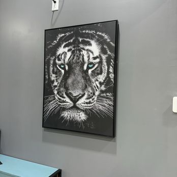 SR 54 Cuts - It's giving tiger energy - Barbers Near Me - Odessa, Florida