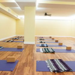 Serenity Yoga & Wellness - Our Back Studio holds 24 students