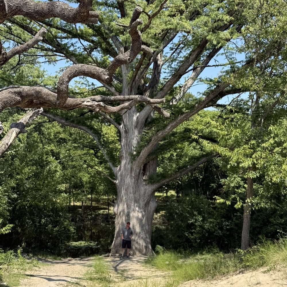 Luckenbach Texas - Music Venues Near Me - Fredericksburg, Texas Luckenbach Texas - Music Venues Near Me - Fredericksburg, Texas