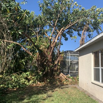 T.B.B Tree Service - Tree Services Near Me - Sarasota, Florida T.B.B Tree Service - Tree Services Near Me - Sarasota, Florida