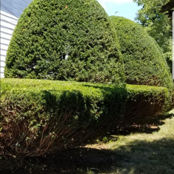 Rdv Landscape - Landscaping Near Me Rdv Landscape - Landscaping Near Me