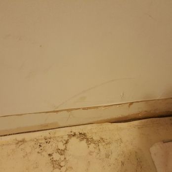 Rogers Inn Vacation Rentals - Shower in basement leaked everywhere. The basement smells of mold. - Hotels Near Me - Seaside, Oregon Rogers Inn Vacation Rentals - Shower in basement leaked everywhere. The basement smells of mold. - Hotels Near Me - Seaside, Oregon