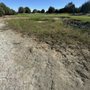 Photo of Juniper Ridge Resort