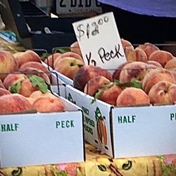 Farmers and Artisans Market - Peaches for sale from one of the few farmers selling produce.