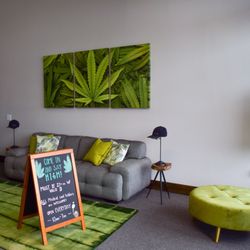710 Montana - Helena dispensary lobby.