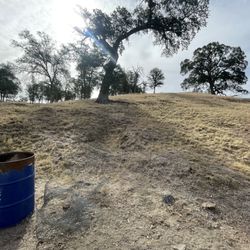 Hill 559