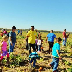 Flying Colors Learning Center