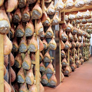 Prima Italy - Food tour in Bologna - Tours Near Me Prima Italy - Food tour in Bologna - Tours Near Me