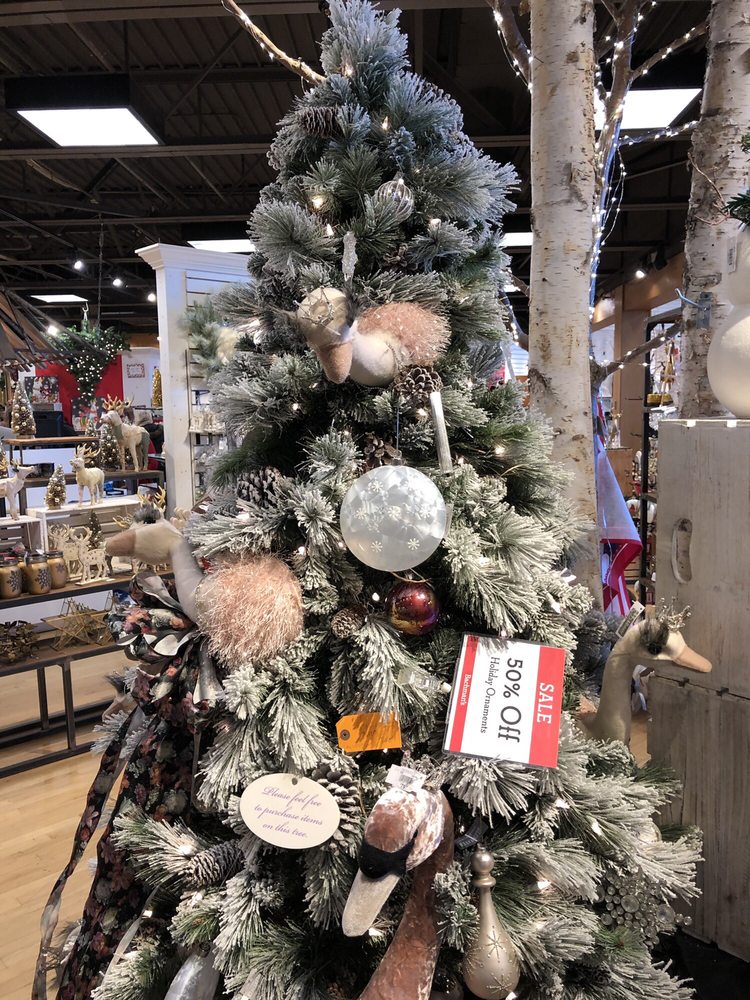 Bachman’s Minneapolis 42 Photos & 69 Reviews Nurseries