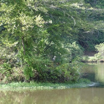 Lullwater Park - Parks Near Me - Atlanta, Georgia Lullwater Park - Parks Near Me - Atlanta, Georgia