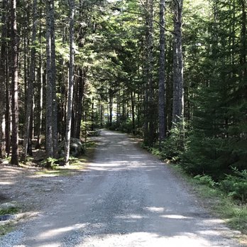 Mount Desert Campground - Campground road in front of my site - Campgrounds Near Me - Mount Desert, Maine Mount Desert Campground - Campground road in front of my site - Campgrounds Near Me - Mount Desert, Maine