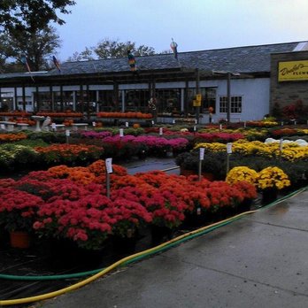 Doebel's Flowers - Florists Near Me - Clyde, Ohio
