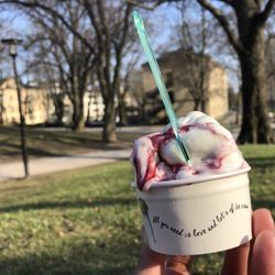Snö Gelateria & Caffetteria - Yoghurt med körsbär/ yogurt and cherry