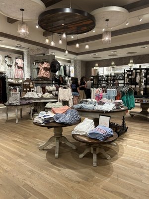 Altar'd State The Summit by null