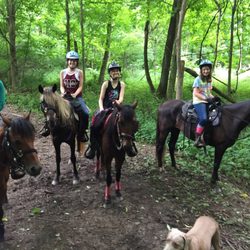 Red Cedar Farm - Trail rides for groups of up to four on Saturdays!