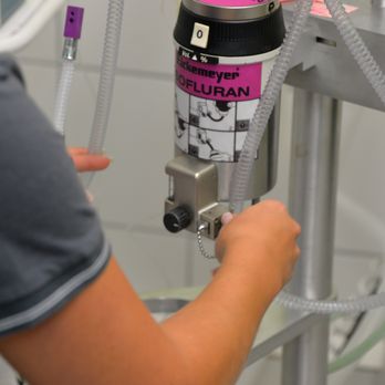Dr. Karin Kamlage - Vorbereitung des Inhalationsnarkosegerätes - Veterinarians Near Me - Odenthal, NW