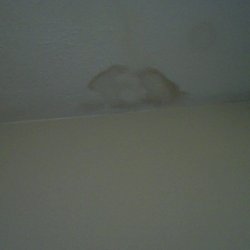 Touchstone Realty - Inside 2nd bedroom. Put in for repair June 2016. Photo taken May 2018. Size of discoloration: 1'x 2'. We have 2 more rooms like this.