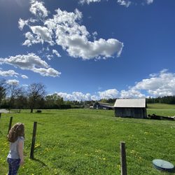 Milner Valley Cheese Ltd. - Milner Valley cheese farm