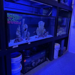 Tank it Easy - Display Area