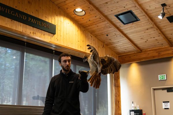 High Desert Museum by null