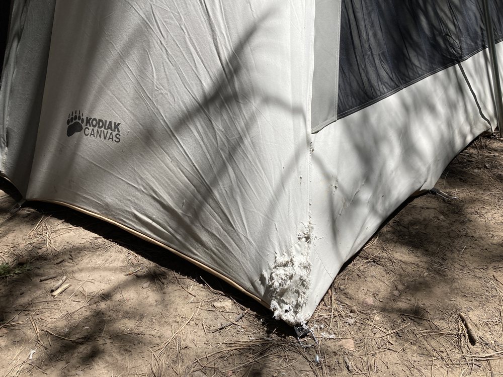 HOUSE OF CANVAS Updated October 2024 5541 N 59th Ave, Glendale