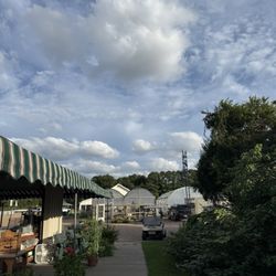 Grandy Greenhouse and Farm Market - Market