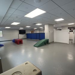 The Valley Pet Resort and Spa - Indoor play area