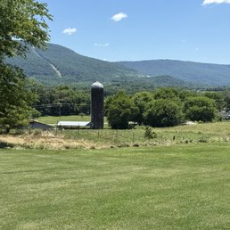 View from the dining room