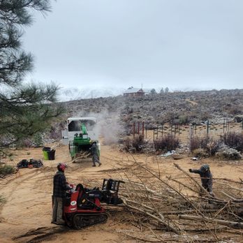 Bear Mountain Arborist - As soon as the tree was down they were chopping it up for the woodchipper. They moved fast and cleaned as they went. - Tree Services Near Me Bear Mountain Arborist - As soon as the tree was down they were chopping it up for the woodchipper. They moved fast and cleaned as they went. - Tree Services Near Me