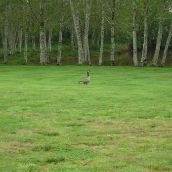 Thousand Trails Seaside - RV Parks Near Me - Seaside, Oregon Thousand Trails Seaside - RV Parks Near Me - Seaside, Oregon