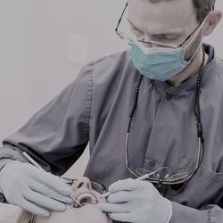 Birchwood Dental - G. Chris Holdaway, DDS, Birchwood Dental, Meridian Idaho