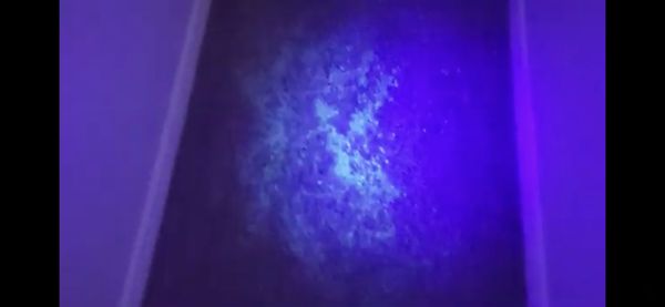 Extreme Clean 30124 Spray Dr Canyon Lake Ca Carpet Rug Cleaners Mapquest