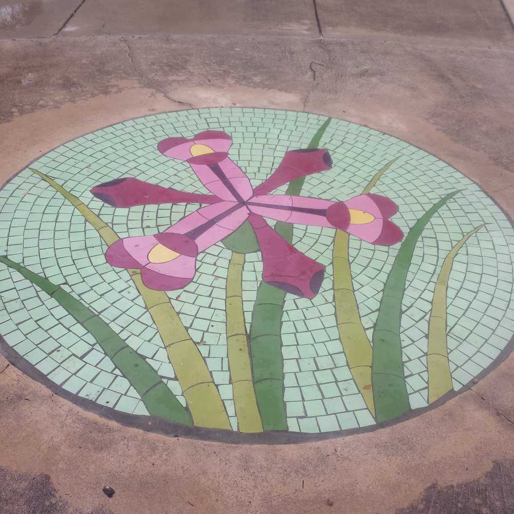 Crockett Park - Something beautiful.... - Parks Near Me - San Antonio, Texas Crockett Park - Something beautiful.... - Parks Near Me - San Antonio, Texas